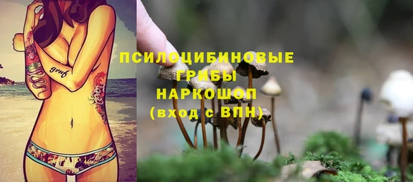 молекула духа Карпинск