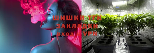 эйфоретик Касимов