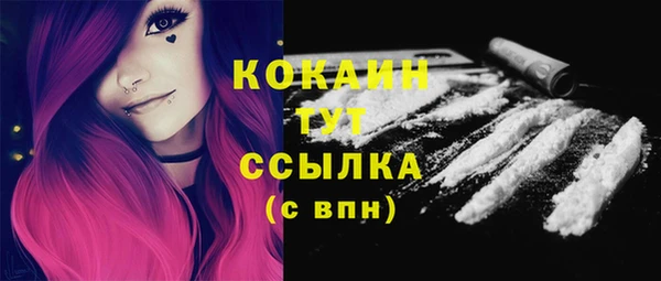 молекула духа Карпинск