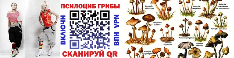 KRAKEN   Курган  Галлюциногенные грибы Psilocybine cubensis 