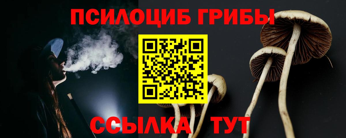 Курган  Псилоцибиновые грибы GOLDEN TEACHER  Псилоцибиновые грибы мицелий  Вход с VPN 